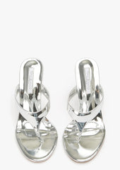 Dynasty Silver Shine